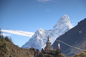 vette himalaya