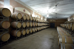 cantina botti